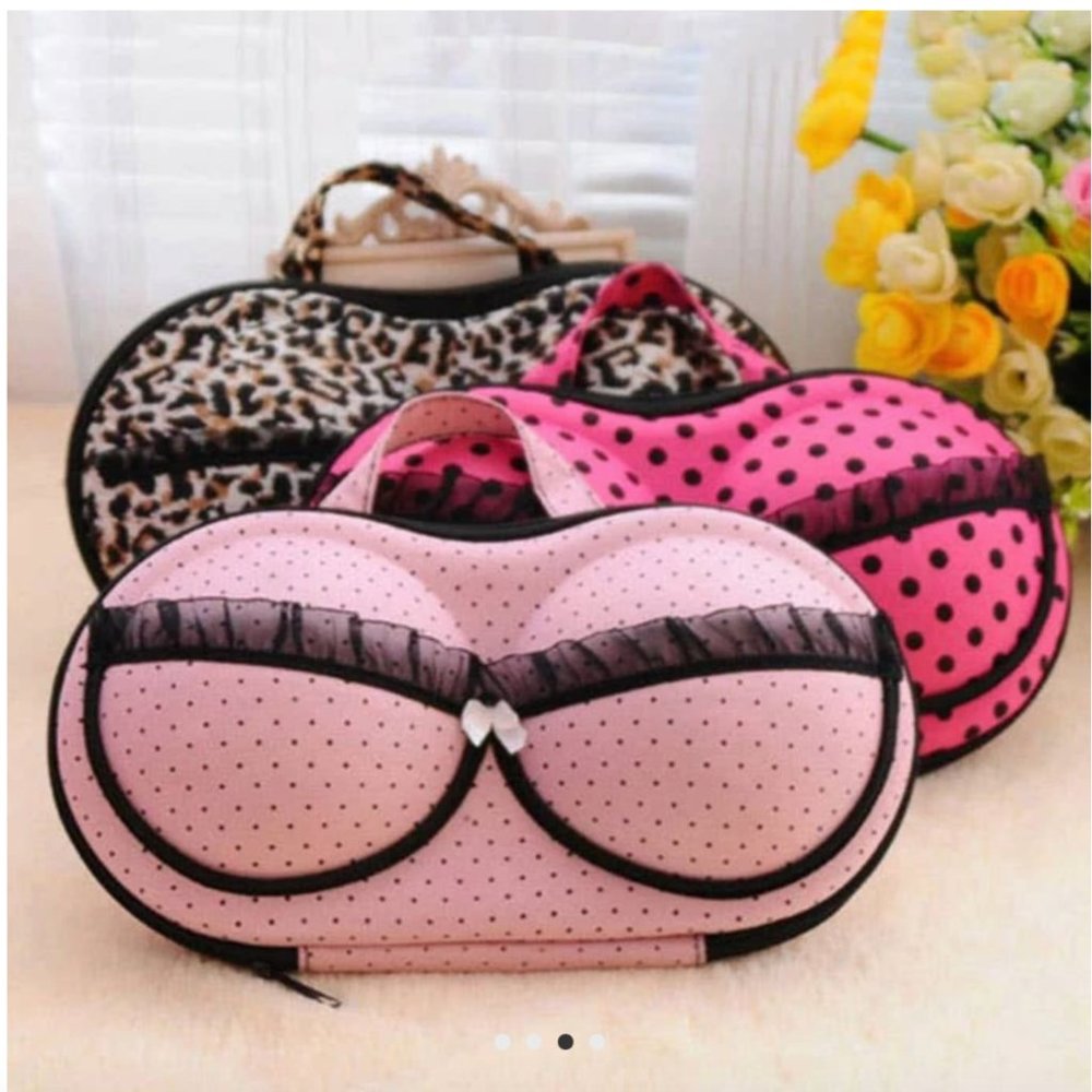 Travel Bra Organizer Blush Pink & Black Lace